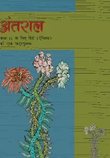 Antral — NCERT कक्षा 11